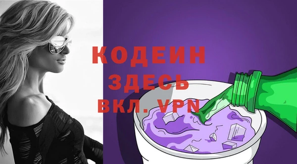 стаф Вязьма