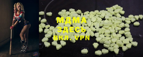 стаф Вязьма