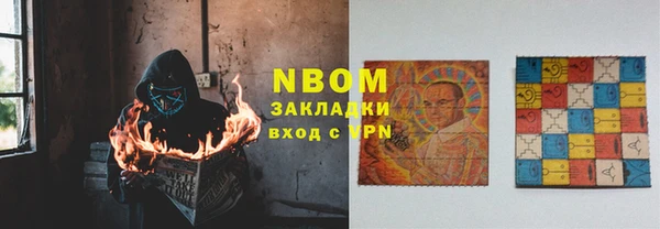 стаф Вязьма