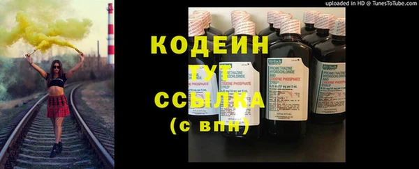 стаф Вязьма