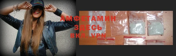 стаф Вязьма