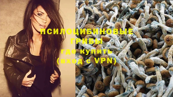 кристаллы Вяземский