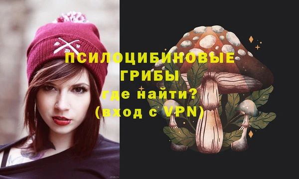 СК Вязники