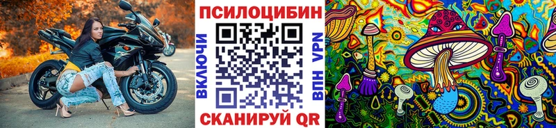 Купить закладки  Пудож  Галлюциногенные грибы GOLDEN TEACHER 